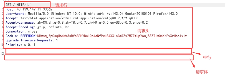 环境搭建&网络协议