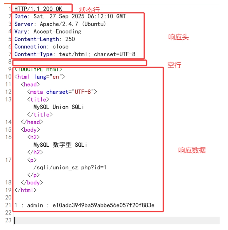 环境搭建&网络协议
